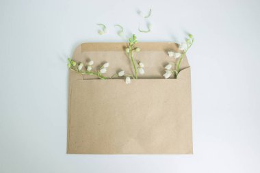 El işi zarfında bahar çiçekleri. Vadinin beyaz zambakları. Çan şeklinde çiçekler. Atmosferik fotoğraf. Mektup yaz. Yeşil, sakinliğin rengidir. Bahar havası. Neşe içinde çiçek açıyor. Beyaz arkaplan.