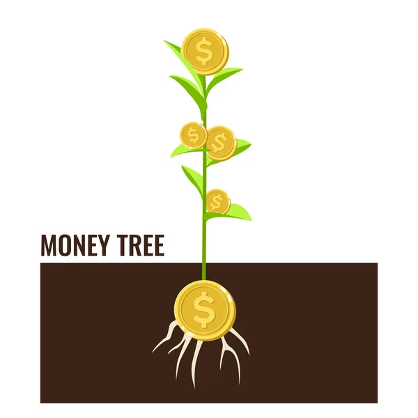 Planta Cultivo Fileira Dinheiro Moeda Para Conceito Financeiro Bancário —  Vetores de Stock