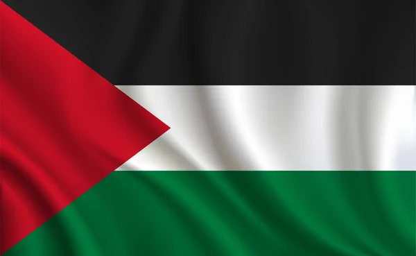 Fondo Bandera Palestina Primer Plano — Archivo Imágenes Vectoriales