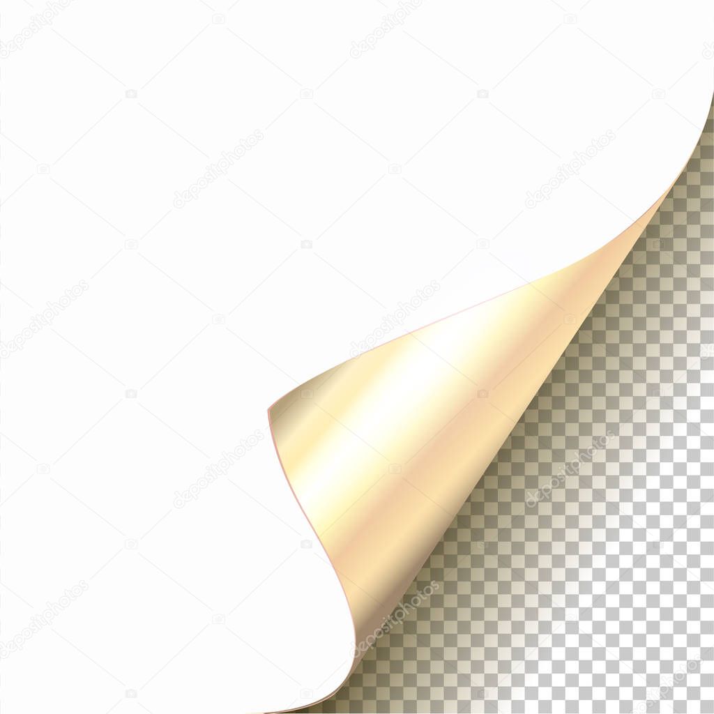 Vector Platinum Curled Glossy Foil Corner of White Paper with Shadow Mock up Close up Isolated on Transparent Background