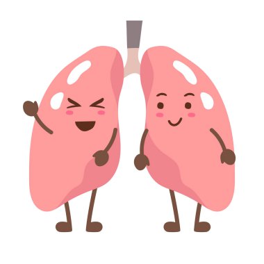 Sağlıklı akciğer. vektör illüstrasyonu