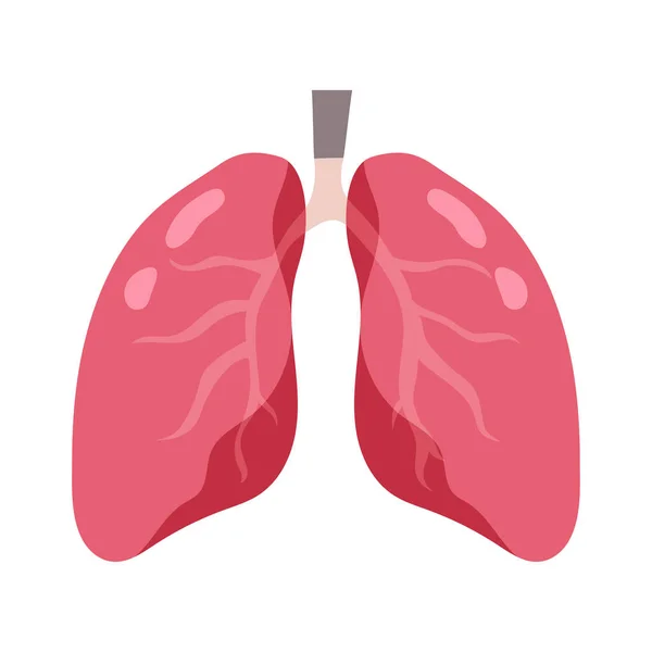 Healthy Lungs Design Vector Illustration — Stock Vector