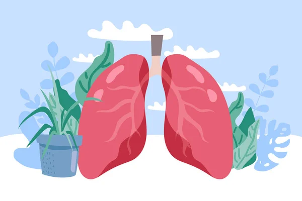 Zdrowe Płuca Ilustracja Wektora — Wektor stockowy