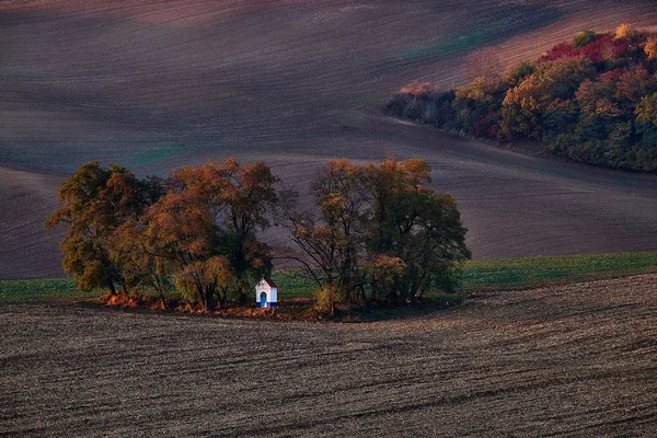 小白教堂依偎在树上 芭芭拉教堂 Kyjov 捷克共和国 — 图库照片