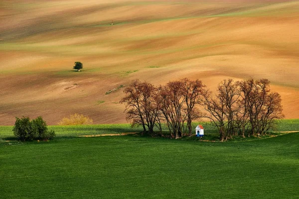 チャペル セント バーバラ黄金色の丘の背景に春の夜 南モラヴィア州 チェコ共和国 — ストック写真