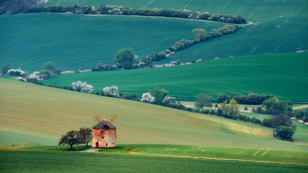 Alte Windmühle Auf Dem Hintergrund Grüner Hügel Und Weißer Bäume — Stockfoto