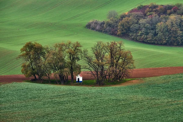 Panorama Der Kapelle Barbara Auf Südmährischen Feldern Während Der Herbstzeit — Stockfoto