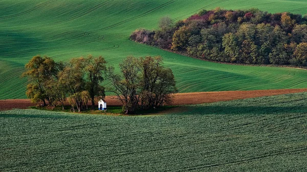Kaplica Białego Pośród Drzew Ostatnie Promienie Słońca Tle Zielonych Wzgórz — Zdjęcie stockowe