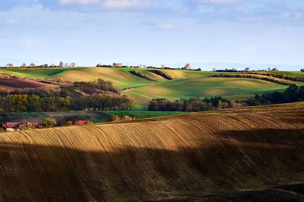 Veduta Bellissimi Campi Agricoli Alberi Autunnali Moravia Meridionale Repubblica Ceca — Foto Stock
