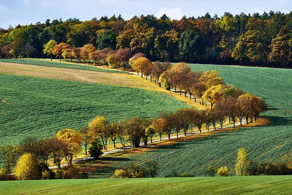 Ländliche Landschaft Mit Grünen Feldern Autostraße Und Allee Herbstbäume Südmähren — Stockfoto