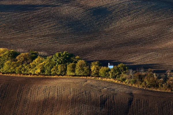 小白色婚礼教堂隐藏在树后 在秋天 在耕地 Kyjov 捷克共和国 — 图库照片