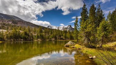 Küçük bir göl Yosemite Ulusal Parkı'nda. ABD.