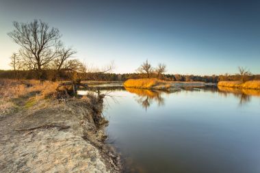 Warta Nehri Warta Peyzaj Park, Polonya, Bahar.