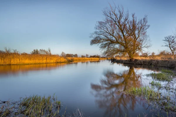 Wiosna nad rzeką wartą w Nadwarciański Park Krajobrazowy, Polska. — Zdjęcie stockowe