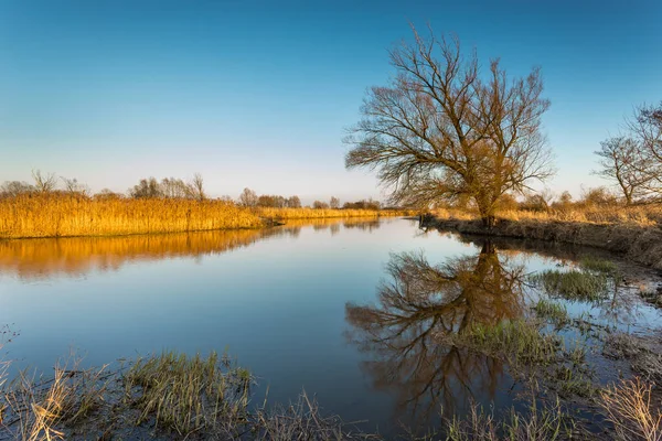 Nascente no rio Warta em Warta Landscape Park, Polônia . — Fotografia de Stock