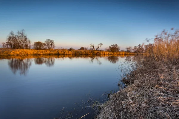 Primavera al fiume Warta nel Warta Landscape Park, Polonia . — Foto Stock