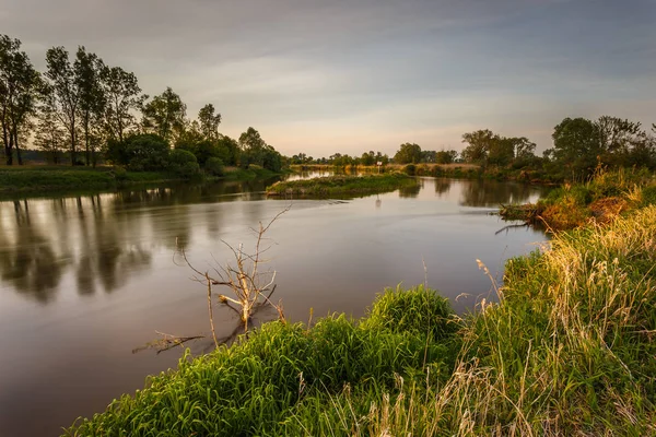 Cálido atardecer sobre el río Warta en el Parque del Paisaje Warta, Polonia . — Foto de Stock