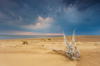 Fırtına bulutları Baltık Denizde kum plaj üzerinde