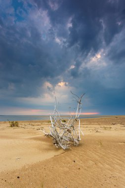 Fırtına bulutları Baltık Denizde kum plaj üzerinde