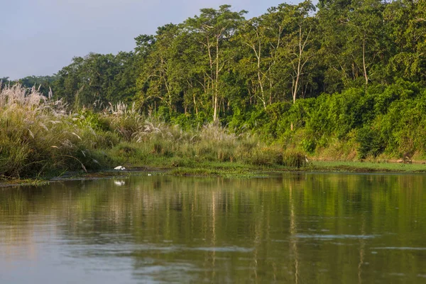 Oiseaux sur la rivière Rapti à Chitwan, Népal — Photo