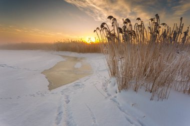 Donmuş bay Puck, kış manzarası.