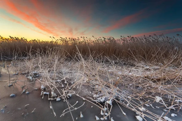 Paisagem de inverno na baía congelada de Puck . — Fotografia de Stock