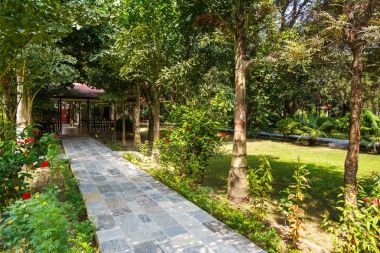 Otel patio Royal Chitwan Milli Parkı, Nepal