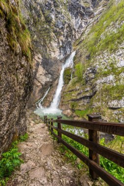 Şelale Savica Triglav Ulusal Parkı, Slovenya.