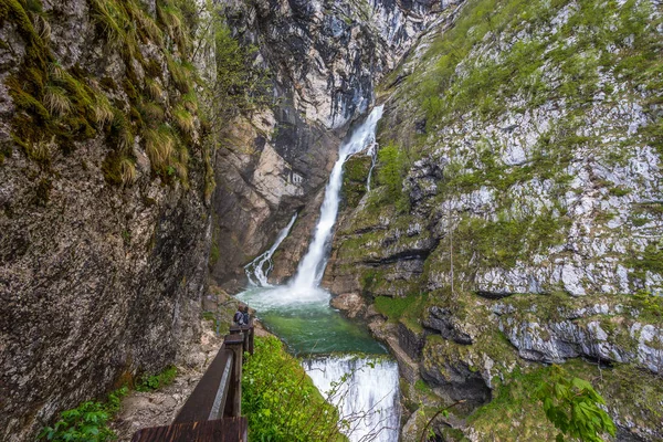 Vízesés a Savica a Triglav Nemzeti Park, Szlovénia. — Stock Fotó