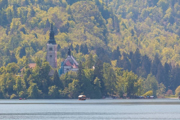 Blejski Otok, vackrast belägna kyrkan — Stockfoto