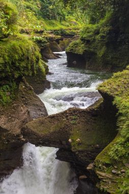Davis Falls Pokhara Kaski bölgesinde yer alan bir şelale mi.