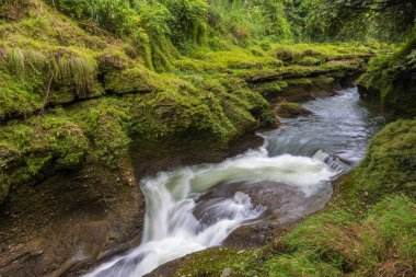 Davis Falls Pokhara Kaski bölgesinde yer alan bir şelale mi.