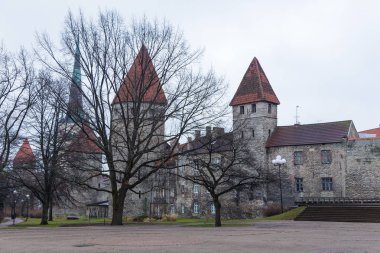 Eski savunma duvarı Tallinn mükemmel korunmuş sur içinde görünüm.