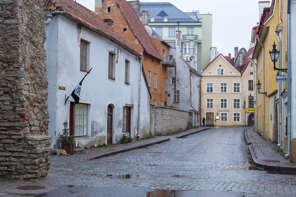 Calle histórica del casco antiguo de Tallin . — Foto de Stock