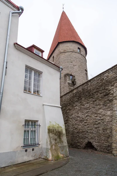 Vista da antiga muralha defensiva em fortificações perfeitamente preservadas em Tallinn . — Fotografia de Stock