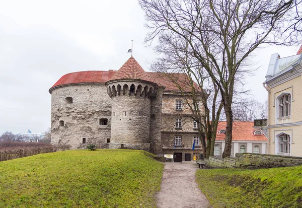 View of the Fat Margaret Tower in Tallinn. — Stock Photo, Image