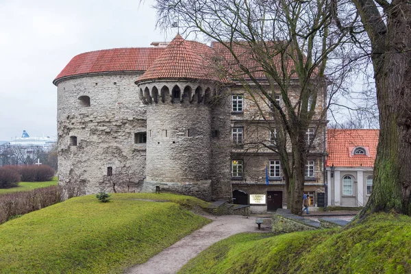 Pohled na věž Margaret tuku v Tallinn. — Stock fotografie