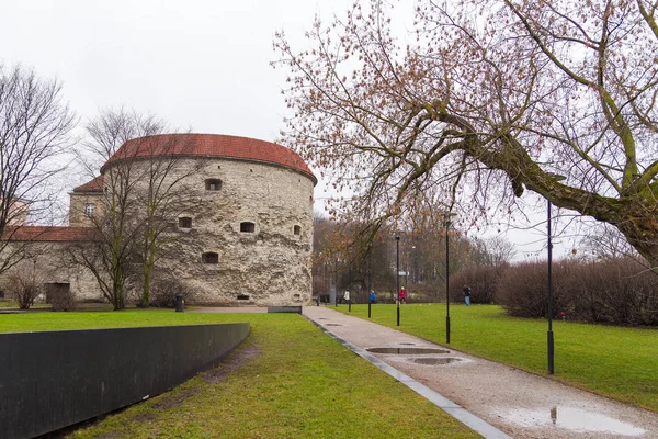 Pohled na věž Margaret tuku v Tallinn. — Stock fotografie