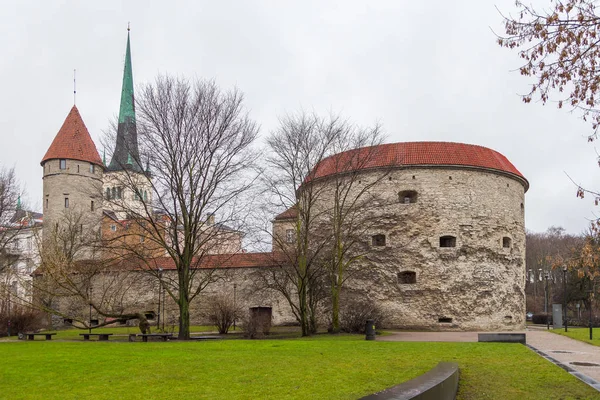 Blick auf den dicken Margaretenturm in Tallinn. — Stockfoto