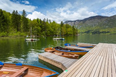 Tekne Marina Bohinj Gölü, Julian Alps