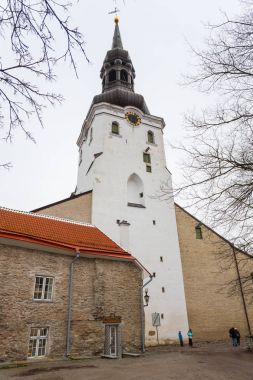 Lutheran Katedrali, St. Mary Virgin (Dome Kilisesi), Tallinn, Estonya