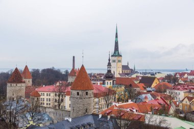 Toopmea Tepesi'nden şehir panoraması.