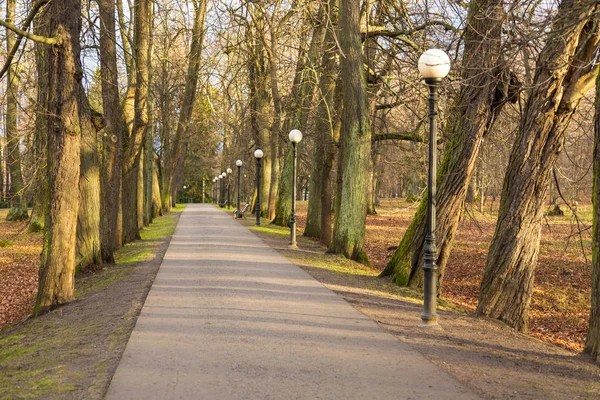 Senderos en el parque Kardriorg en Tallin . — Foto de Stock