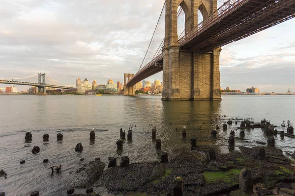 Vista al atardecer del puente Manhattan y el puente Brooklyn, Nueva York — Foto de Stock