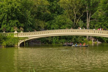 Manhattan'daki Central Park gölde köprüden yay