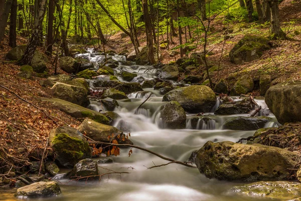 Stream flowing on the slope of the mountain, Bulgaria — Stock Photo, Image