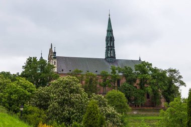 Kutsal Bakire Meryem 'in Doğumu Katedrali, Sandomierz, Polonya.