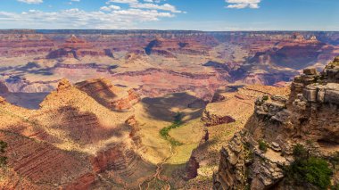 Büyük Kanyon 'un kenarında çalılar, Arizona, Usa.