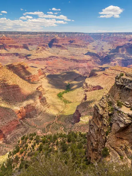 Buske på kanten af Grand Canyon, Arizona, USA . - Stock-foto