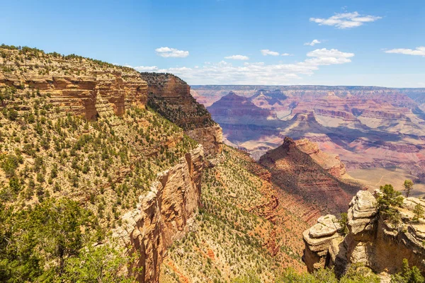 Krzewy na skraju Wielkiego Kanionu, Arizona, Usa. — Zdjęcie stockowe